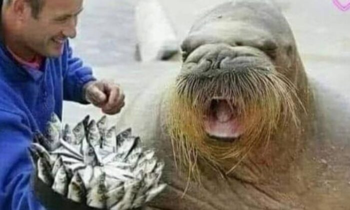 Günün en çok paylaşılan fotoğrafları (07 Kasım 2024)