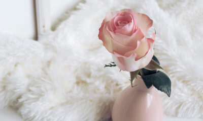 Kendine Sevgi Dolu Bir Yolculuk: Online Terapi